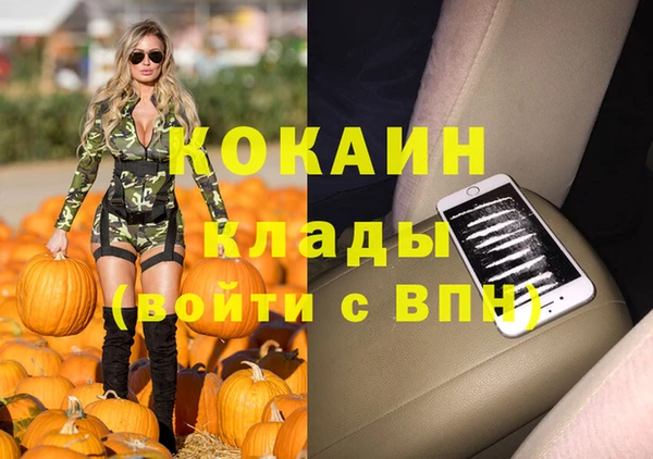 spice Абинск