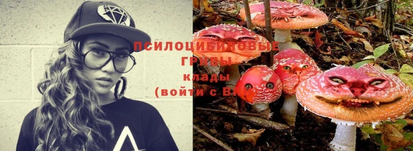 spice Абинск