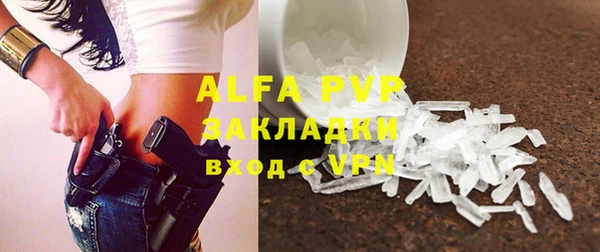 стаф Алексин