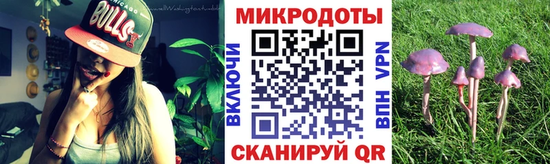 Псилоцибиновые грибы Magic Shrooms  Череповец 